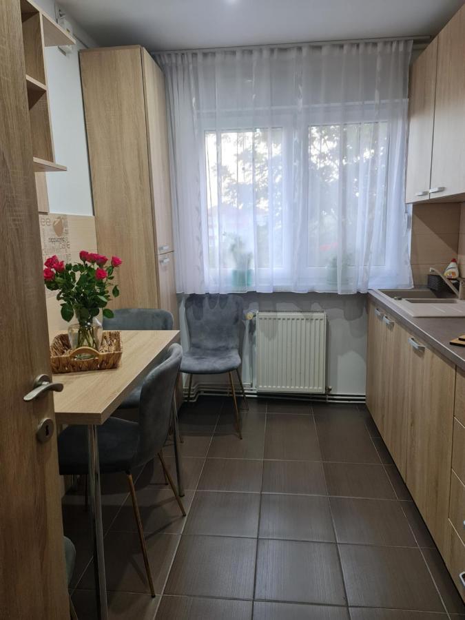 Apartament Modern Cristina&Jessica Mediaş Dış mekan fotoğraf