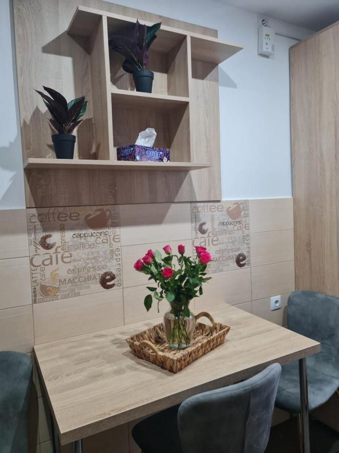 Apartament Modern Cristina&Jessica Mediaş Dış mekan fotoğraf