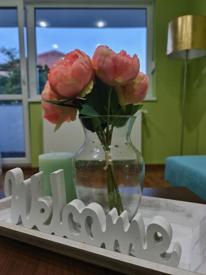 Apartament Modern Cristina&Jessica Mediaş Dış mekan fotoğraf