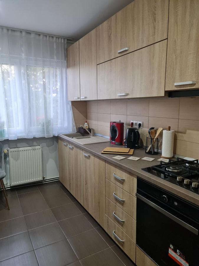 Apartament Modern Cristina&Jessica Mediaş Dış mekan fotoğraf