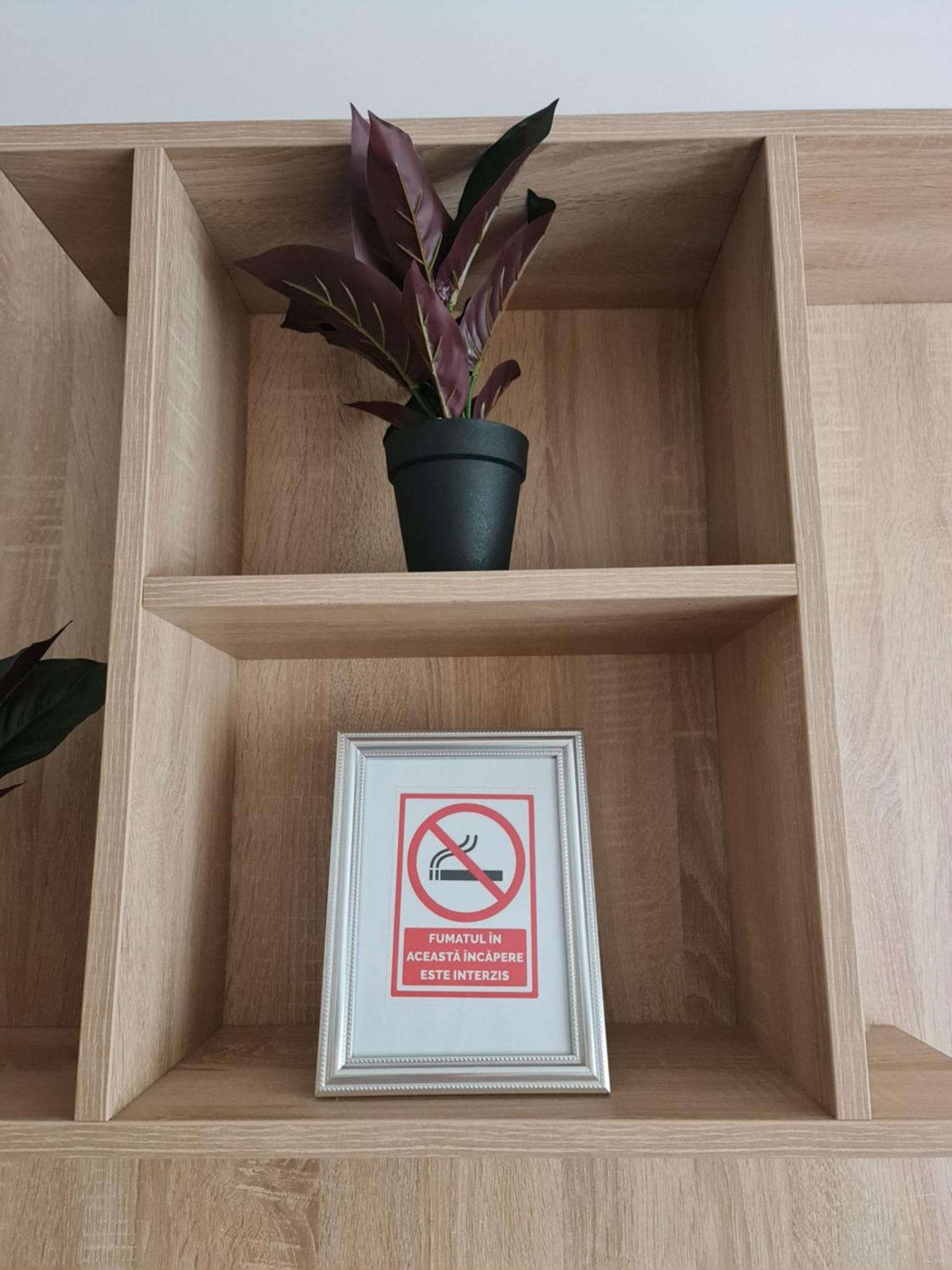 Apartament Modern Cristina&Jessica Mediaş Dış mekan fotoğraf